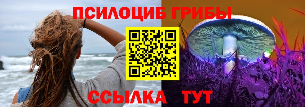 Псилоцибиновые грибы MAGIC MUSHROOMS  Галлюциногенные грибы мицелий  Южно-Сахалинск  Вход с VPN 